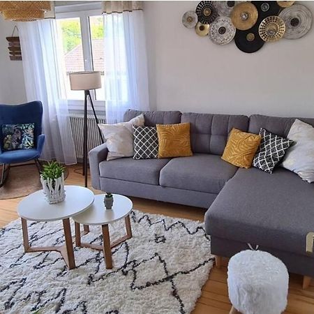 Appartement Cocooning Corcieux المظهر الخارجي الصورة